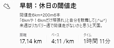 f:id:oiyan-run:20210725102235j:plain