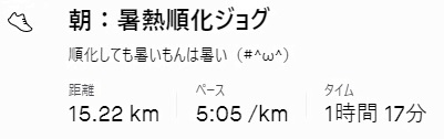 f:id:oiyan-run:20210725102333j:plain
