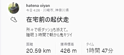 f:id:oiyan-run:20211110180727j:plain