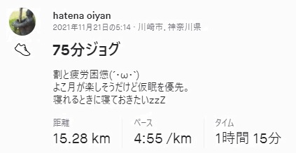 f:id:oiyan-run:20211123042141j:plain