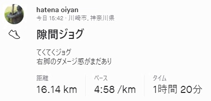 f:id:oiyan-run:20211201175404j:plain
