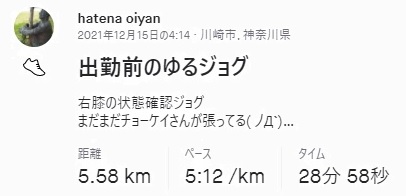 f:id:oiyan-run:20211218053417j:plain
