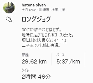 f:id:oiyan-run:20211219110933j:plain