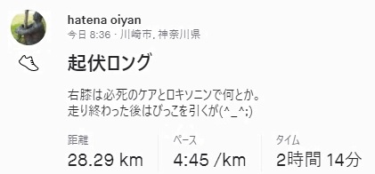 f:id:oiyan-run:20220110131730j:plain