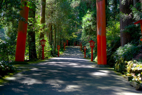 f:id:ojamajo:20080903121202j:image:w200 f:id:ojamajo:20080903121202j:image:w200