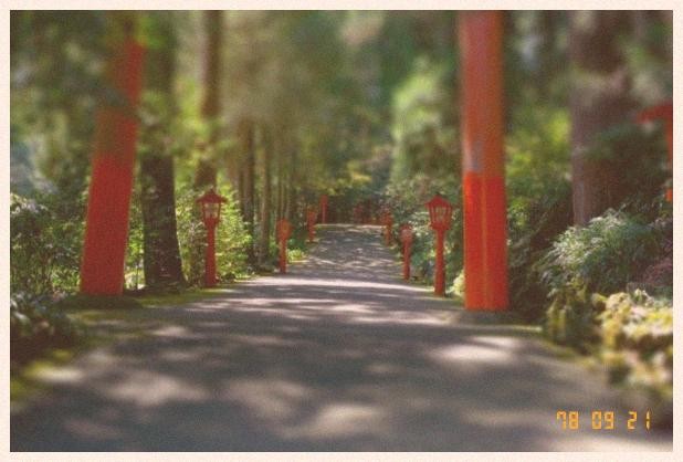 f:id:ojamajo:20090512141113j:image:w340 f:id:ojamajo:20090512141113j:image:w340