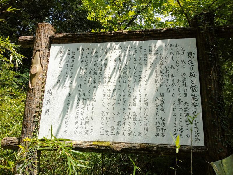 見返り坂と飯能笹の説明