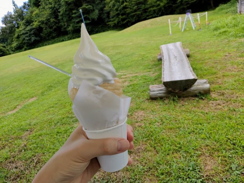 全てのコーンはガンジーコロネソフト方式にしてくれ 道の駅良寛の里わしま おじ語り 全てのコーンはガンジーコロネソフト方式にしてくれ 道の駅良寛の里わしま おじ語り