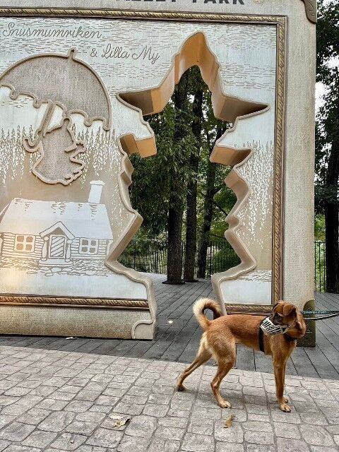 リトルミイと犬