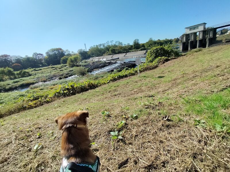 根岸地区運動公園2
