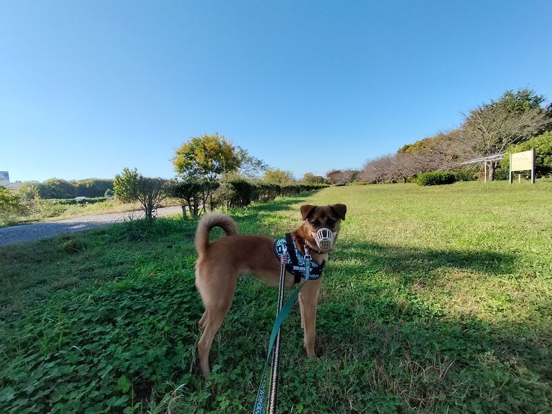 根岸地区運動公園1