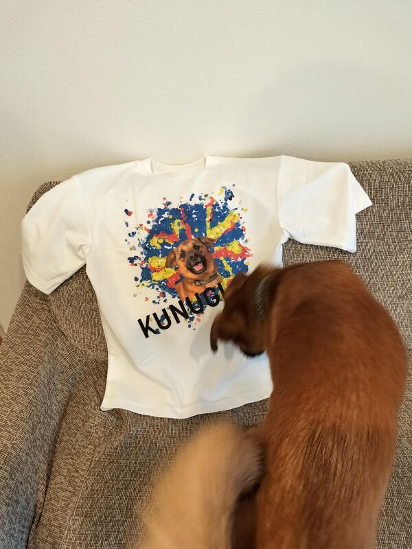 愛犬くぬぎT②