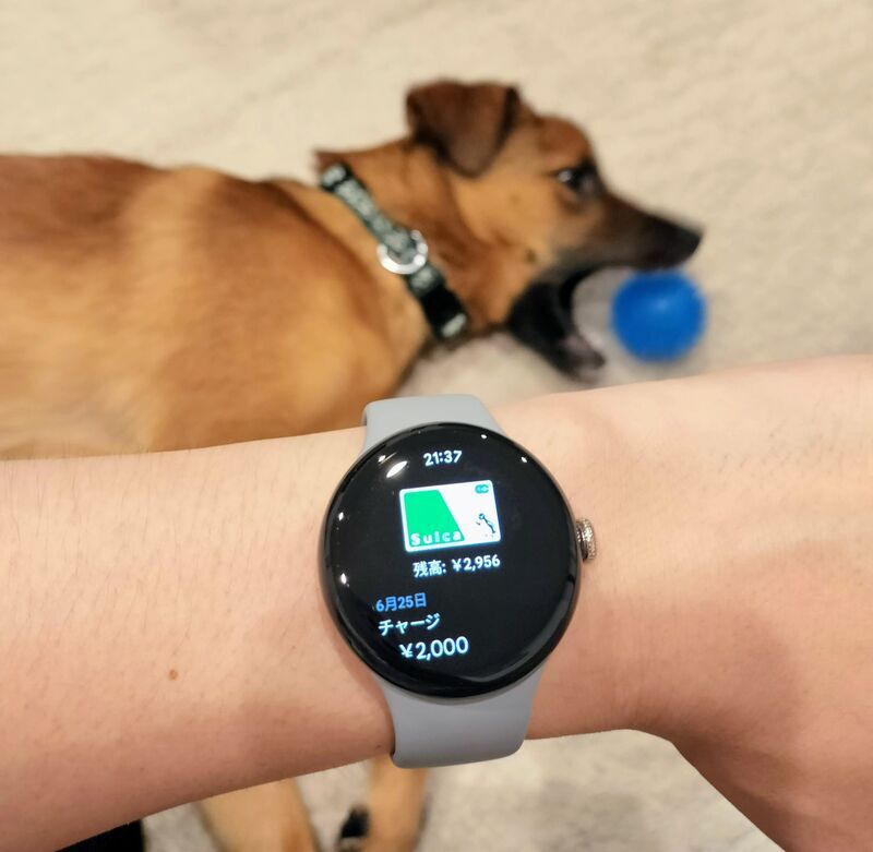 PixelWatch3 Suica