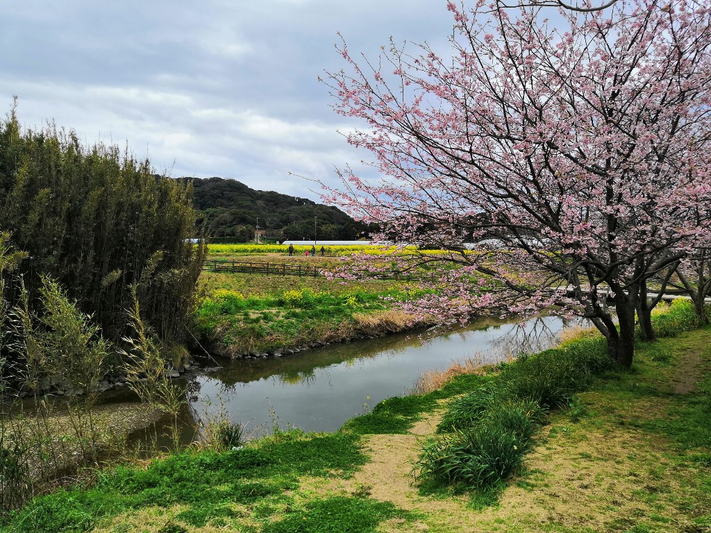 f:id:oji3beeboo6:20190311143846j:plain f:id:oji3beeboo6:20190311143846j:plain