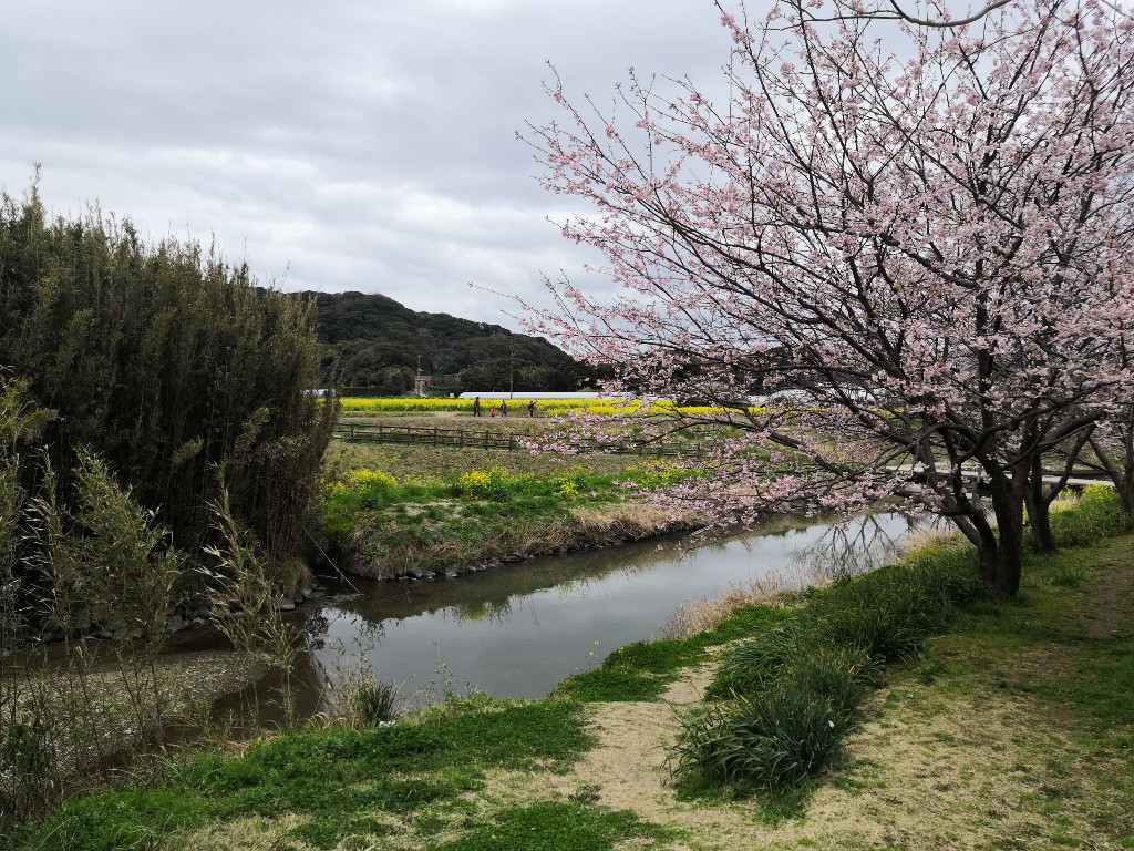 f:id:oji3beeboo6:20190311144105j:plain f:id:oji3beeboo6:20190311144105j:plain