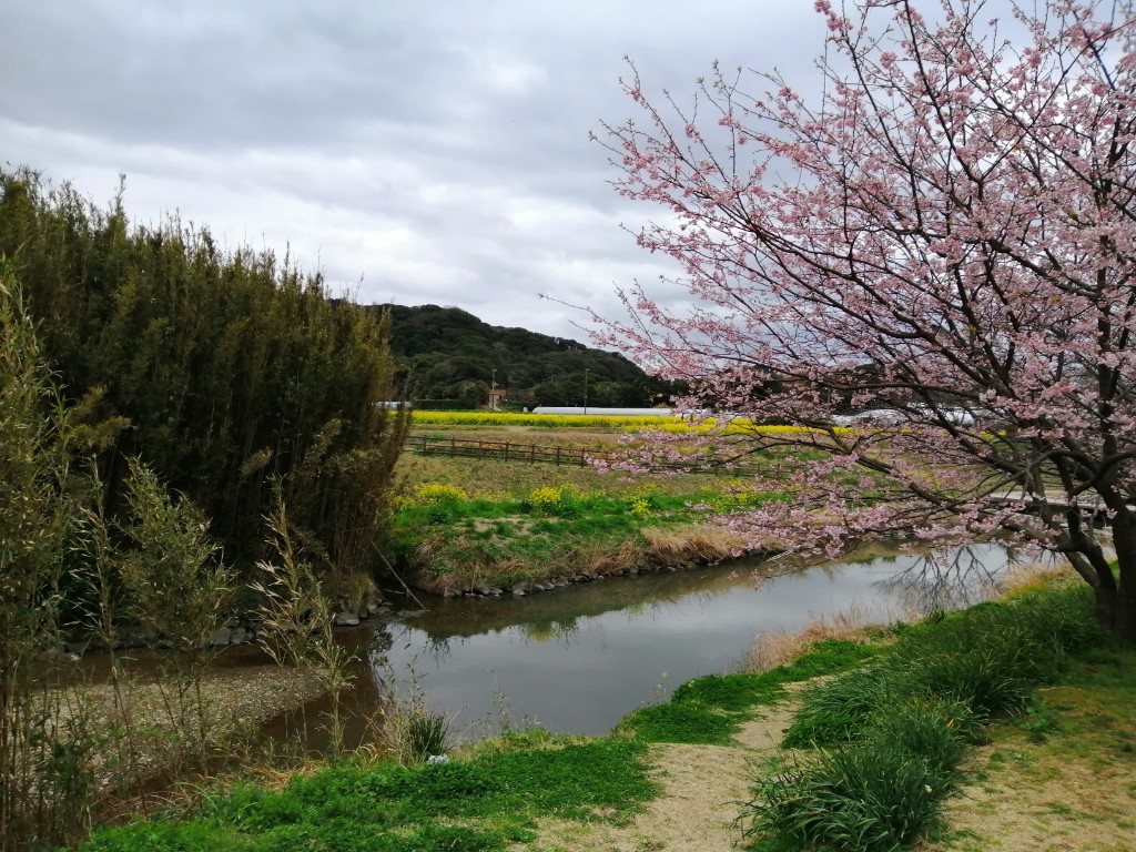 f:id:oji3beeboo6:20190311153417j:plain f:id:oji3beeboo6:20190311153417j:plain