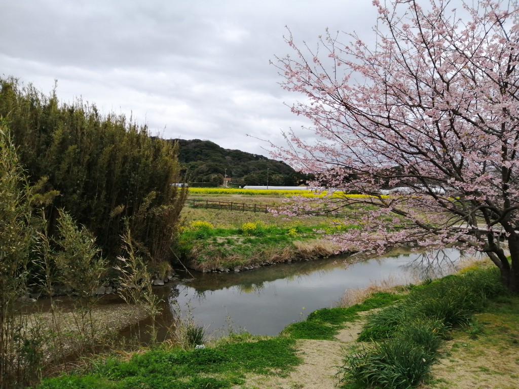 f:id:oji3beeboo6:20190311153605j:plain f:id:oji3beeboo6:20190311153605j:plain