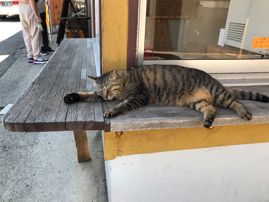 f:id:ojiQ:20190527024302j:image f:id:ojiQ:20190527024302j:image