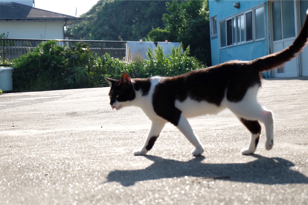 f:id:ojiQ:20190527104835j:image f:id:ojiQ:20190527104835j:image