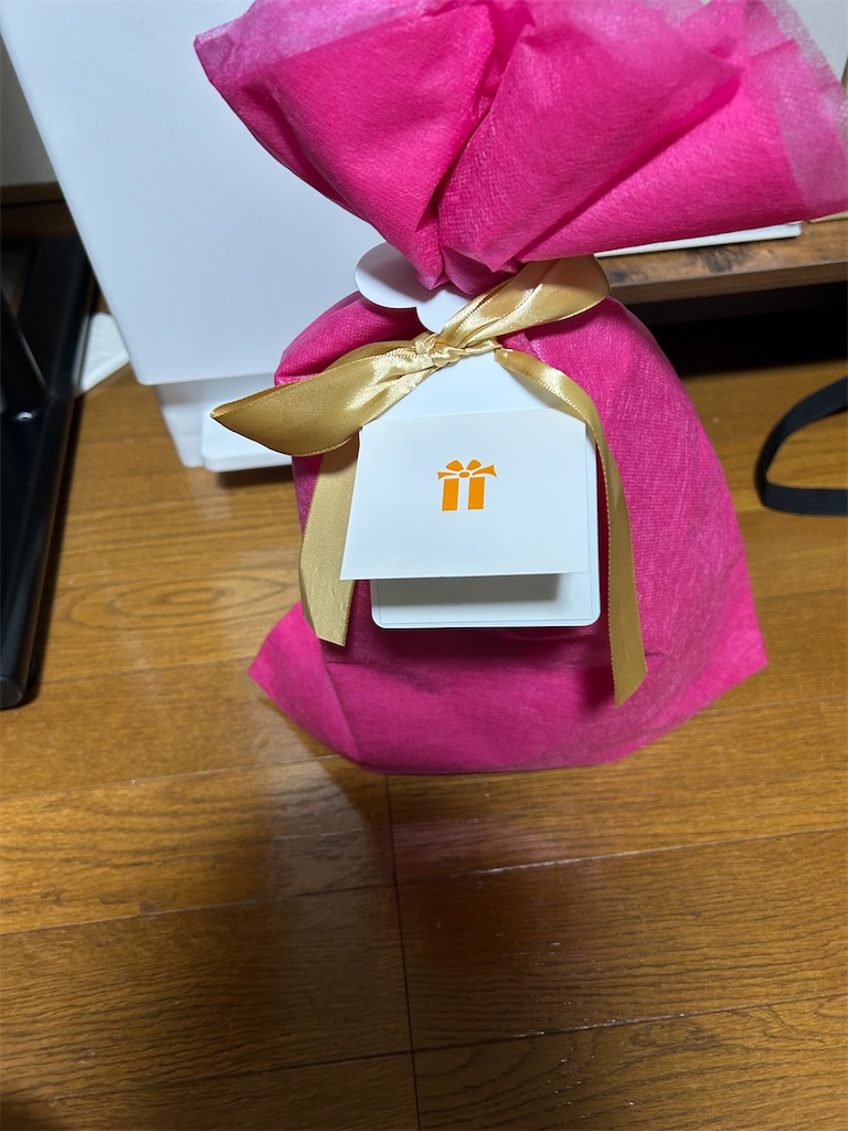 f:id:ojigiso-0120:20250130095200j:image