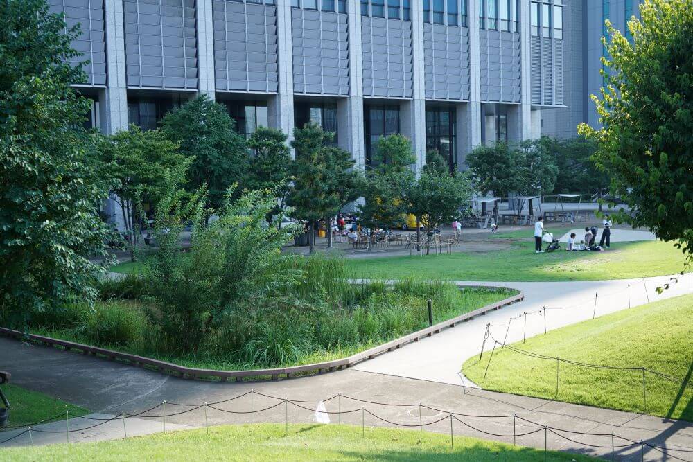 トンボやバッタがいました
