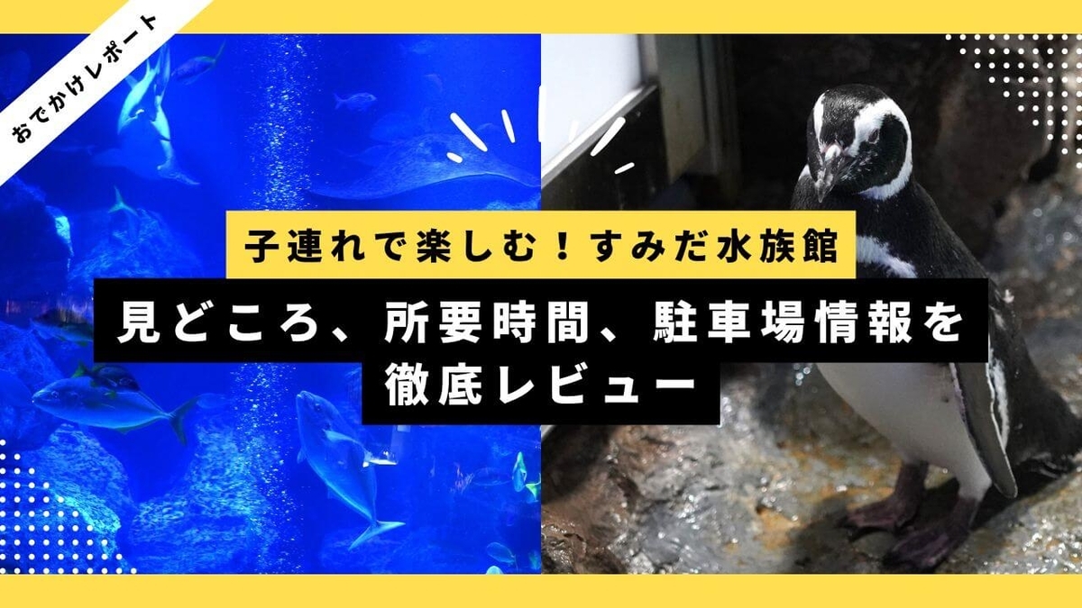 ブログ記事のサムネイル画像