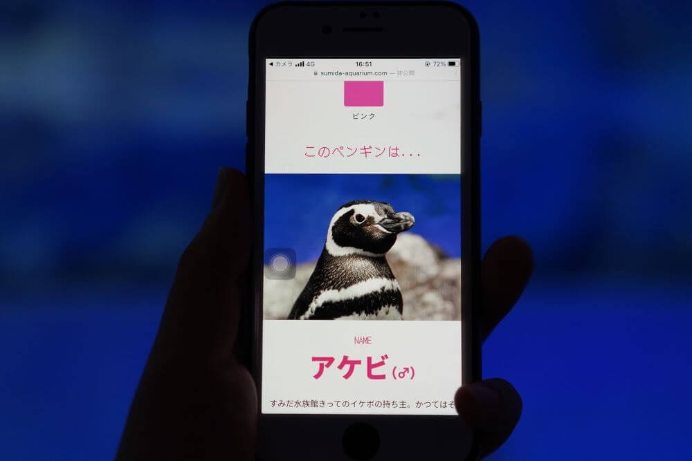 気になったペンギンの名前が判明！