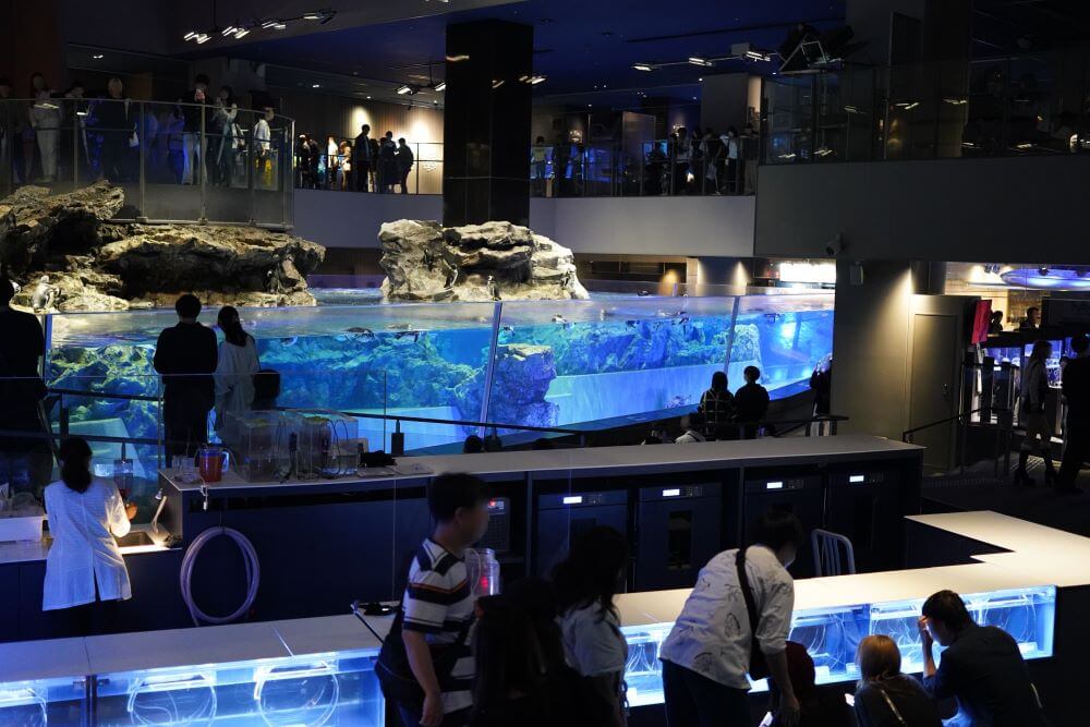 すみだ水族館の内装