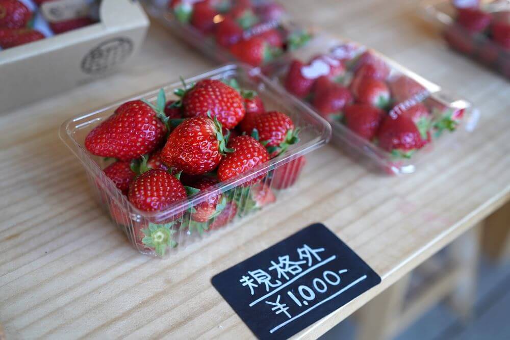 規格外のいちご 1,000円