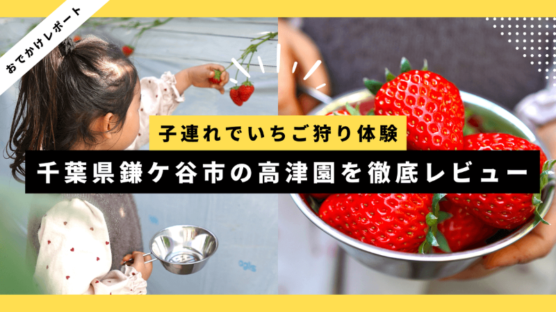 ブログ記事のサムネイル画像