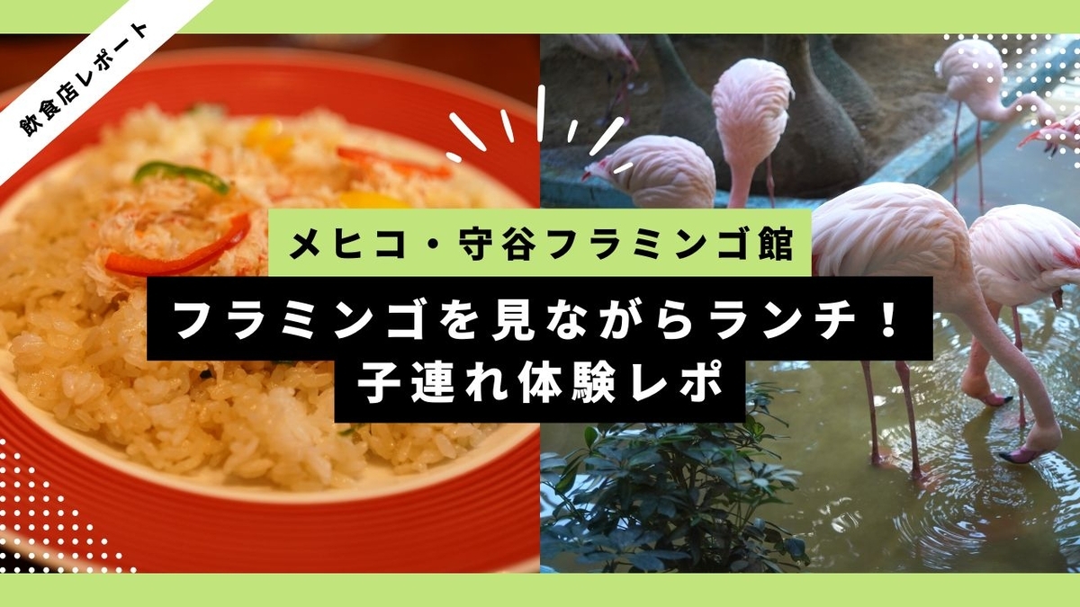 ブログ記事のサムネイル画像