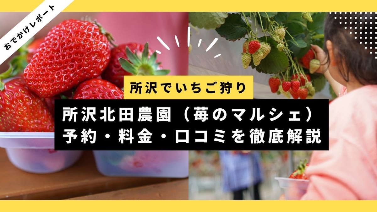 ブログ記事のサムネイル画像