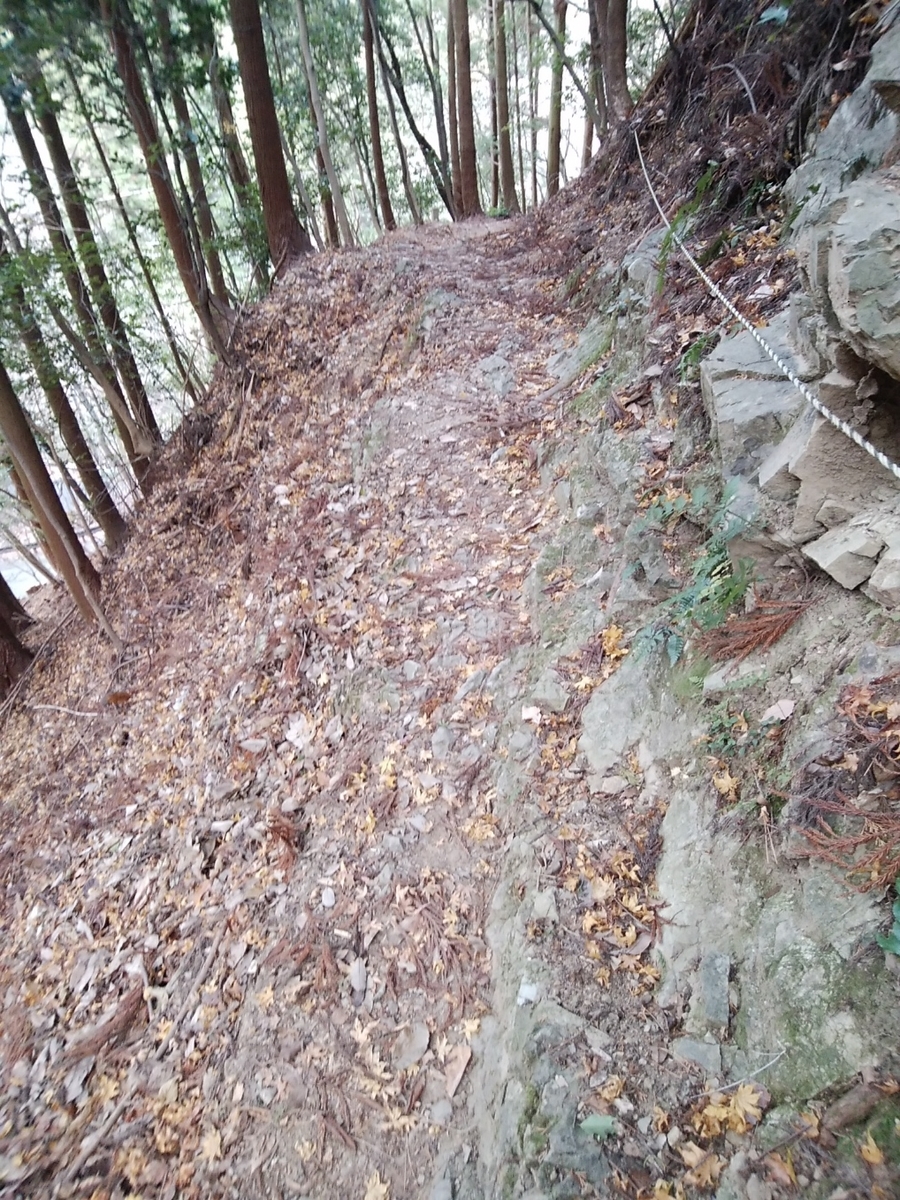 f:id:ojirouuu:20201225200633j:plain