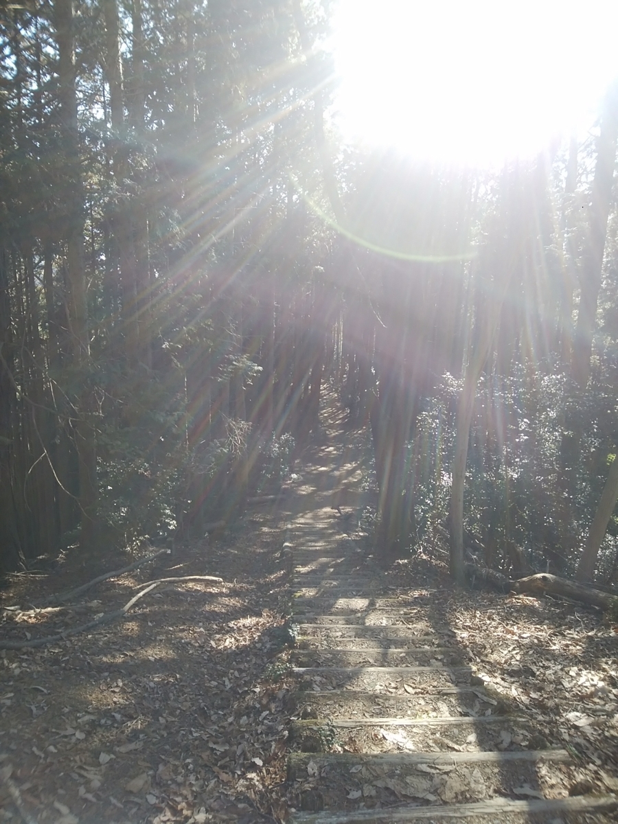 f:id:ojirouuu:20210110210541j:plain