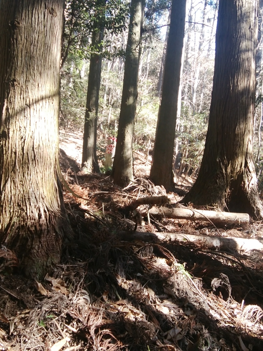 f:id:ojirouuu:20210110210713j:plain