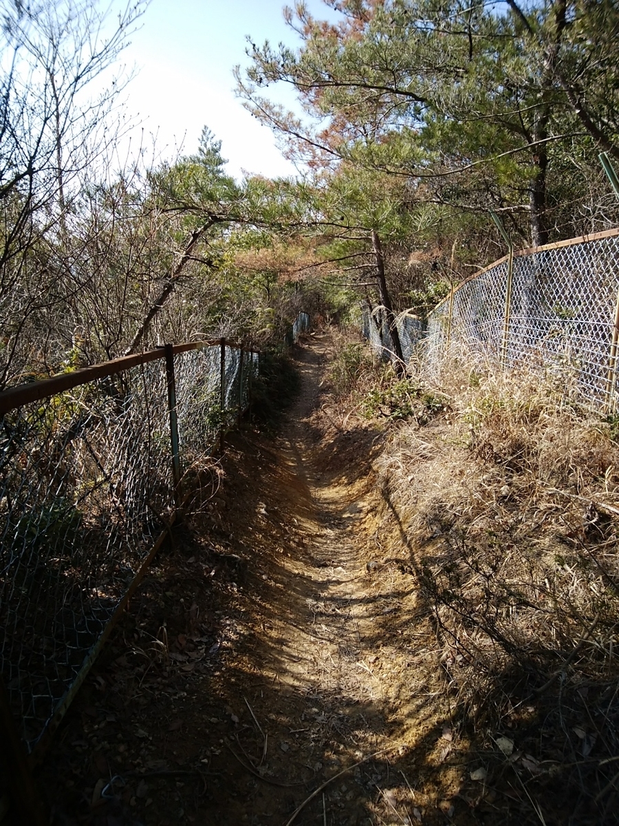 f:id:ojirouuu:20210224155346j:plain