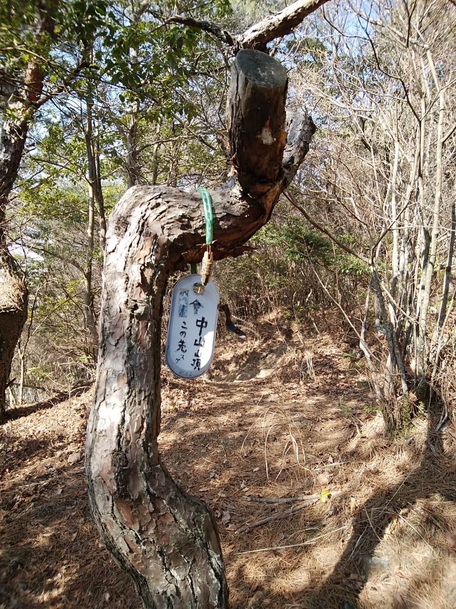 f:id:ojirouuu:20210224155455j:plain