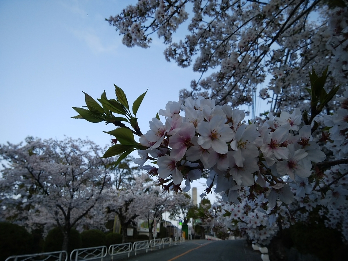f:id:ojirouuu:20210404094131j:plain