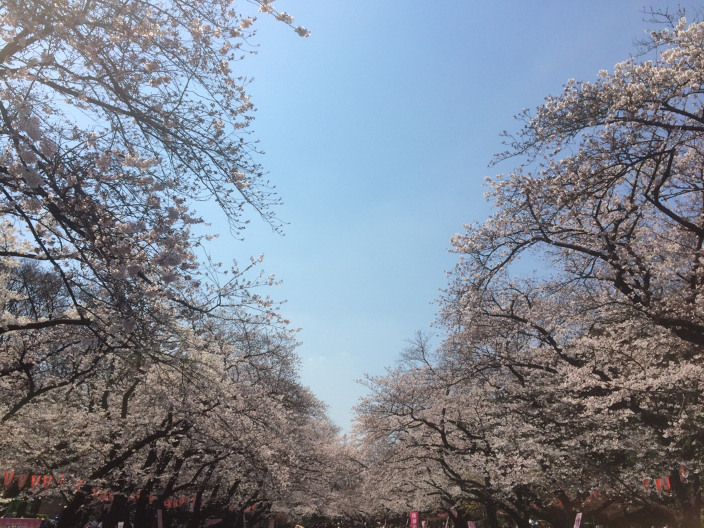 f:id:ojisan_otaku:20170404224012j:plain f:id:ojisan_otaku:20170404224012j:plain
