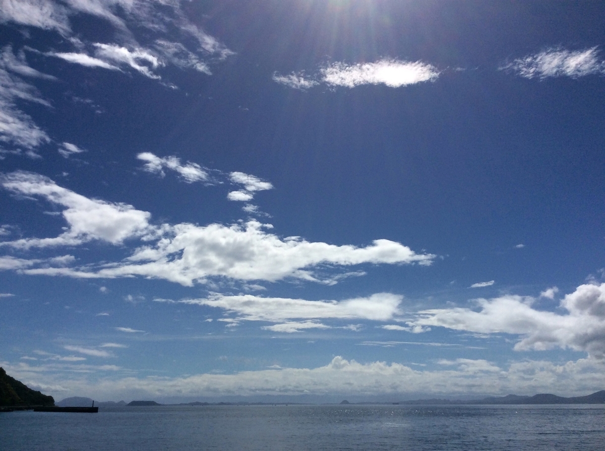 f:id:ojisann52:20200524171135j:plain f:id:ojisann52:20200524171135j:plain