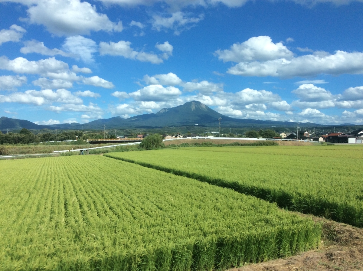 f:id:ojisann52:20200528061725j:plain f:id:ojisann52:20200528061725j:plain