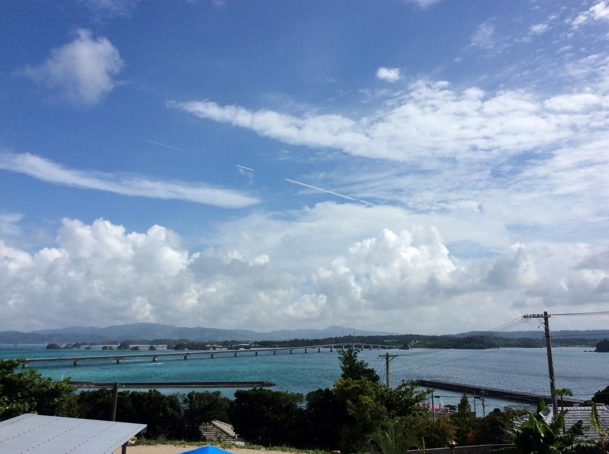 f:id:ojisann52:20201103154624j:plain f:id:ojisann52:20201103154624j:plain