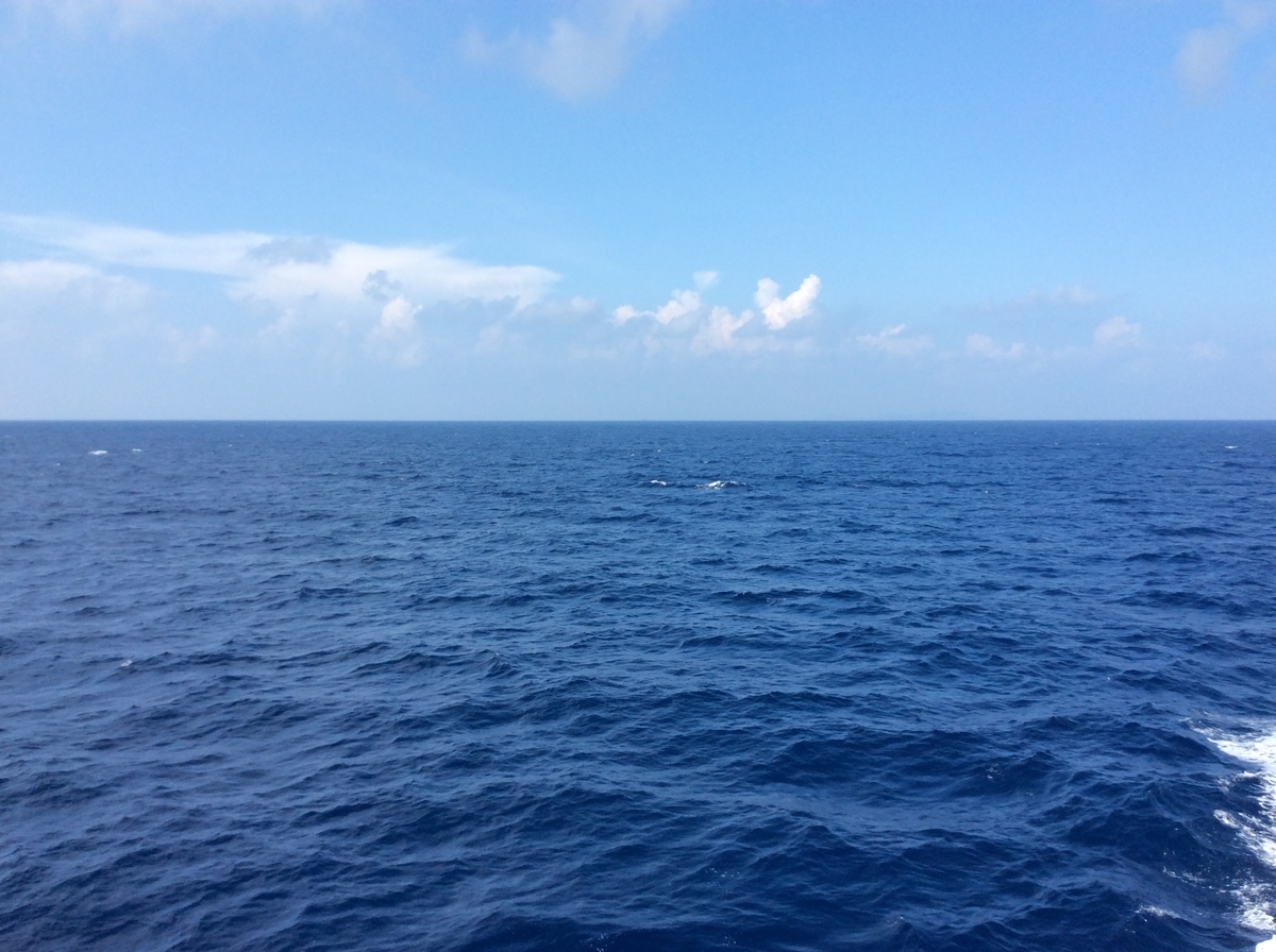 f:id:ojisann52:20201110121155j:plain f:id:ojisann52:20201110121155j:plain