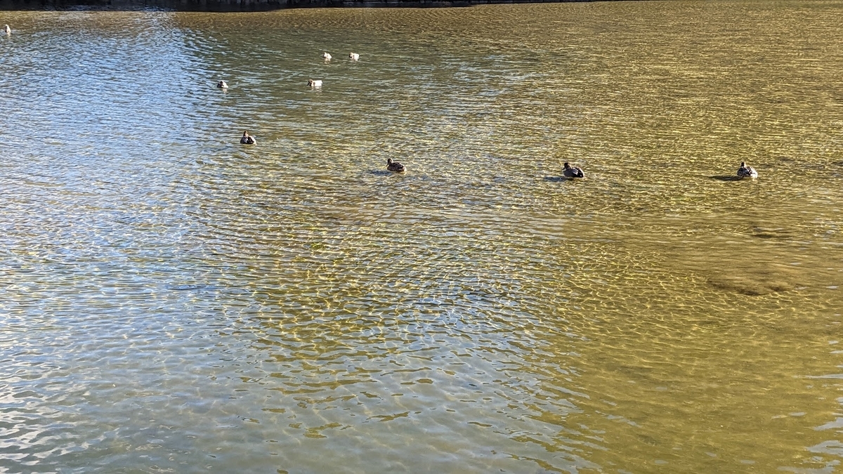 早期退職して身の丈を知る（55歳で早期退職して３度目の冬を前に） - 55歳で退職したおじさんのブログ