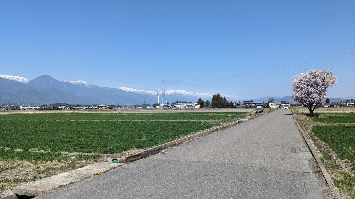 早期退職して、やっと幸福度が上がってきたことを実感する - 55歳で退職したおじさんのブログ