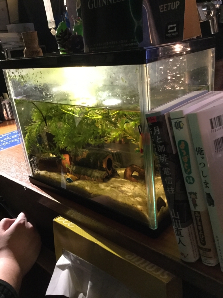 f:id:ojisanno500yen:20180528192645j:plain f:id:ojisanno500yen:20180528192645j:plain