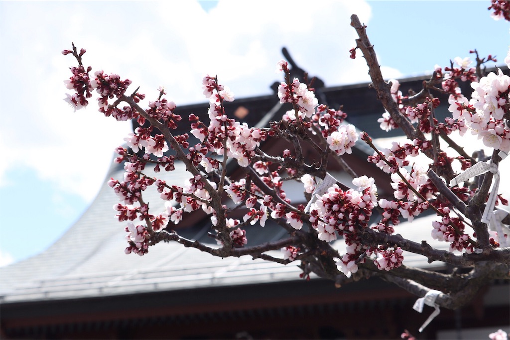 f:id:ojisans115:20190415185356j:image