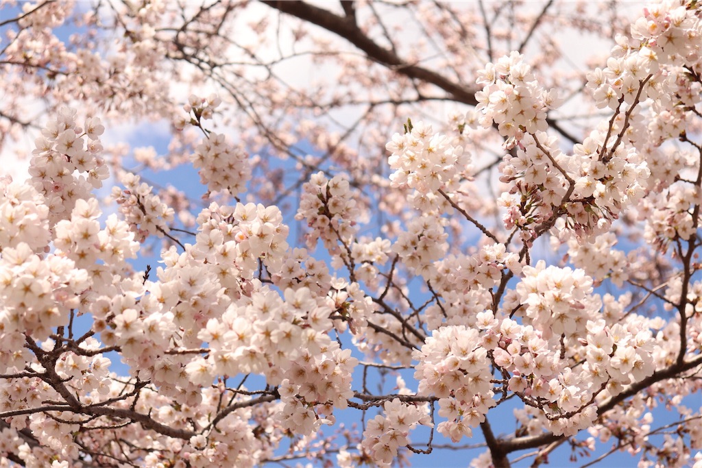 f:id:ojisans115:20190420172147j:image