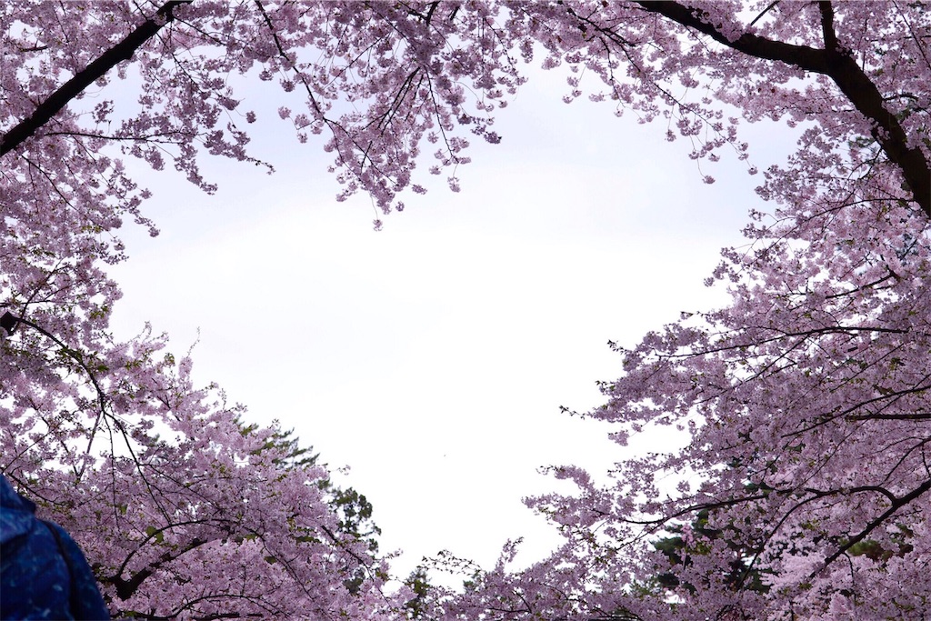 f:id:ojisans115:20190430224733j:image