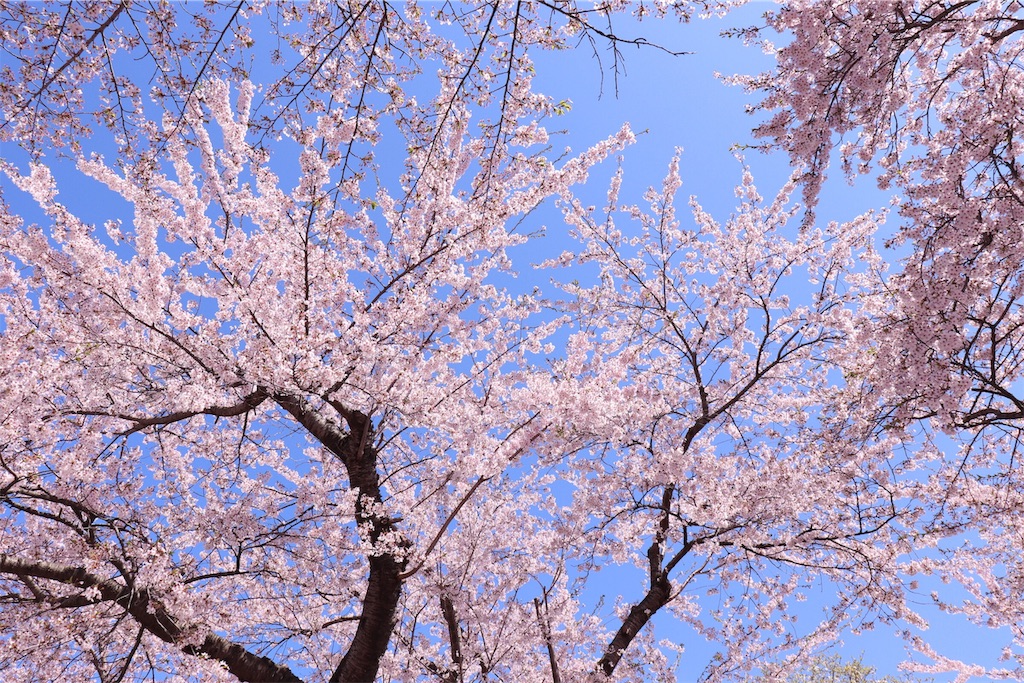 f:id:ojisans115:20190430225003j:image